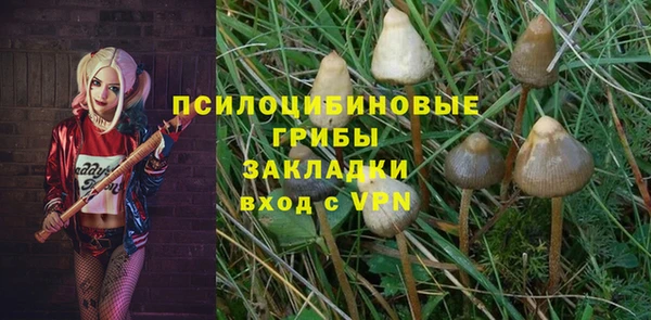 дурь Абдулино