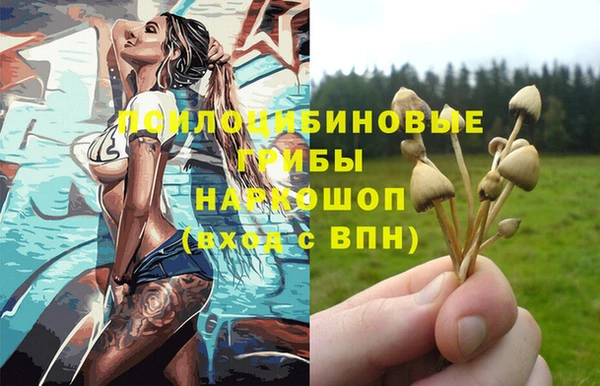 спайс Абинск