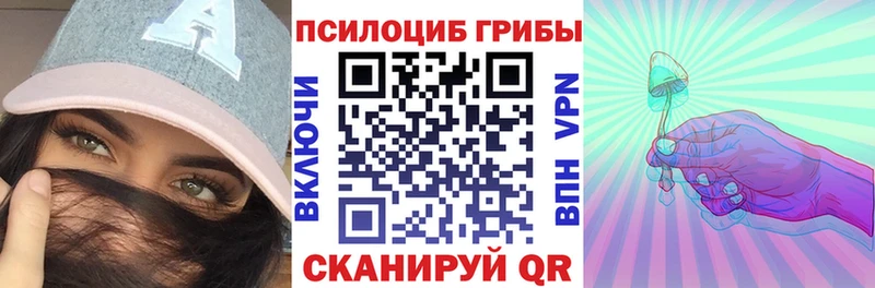 OMG ТОР  Куртамыш  Псилоцибиновые грибы GOLDEN TEACHER 